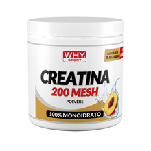 Carica l'immagine nel visualizzatore di Gallery, CREATINA 200 MESH AROMATIZZATA 300 g di WHY SPORT