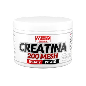 CREATINA 200 MESH 200g di WHY SPORT