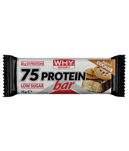 75 PROTEIN BAR di WHY SPORT