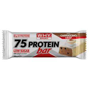 75 PROTEIN BAR di WHY SPORT