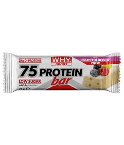 75 PROTEIN BAR di WHY SPORT