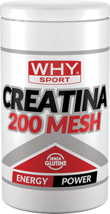 CREATINA 200 MESH 500 g di WHY SPORT