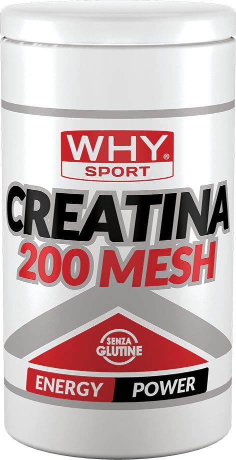 CREATINA 200 MESH 500 g di WHY SPORT