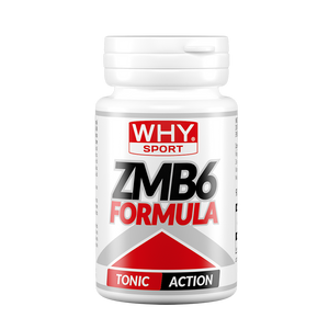 ZMB 6 FORMULA 90 cpr di WHY SPORT