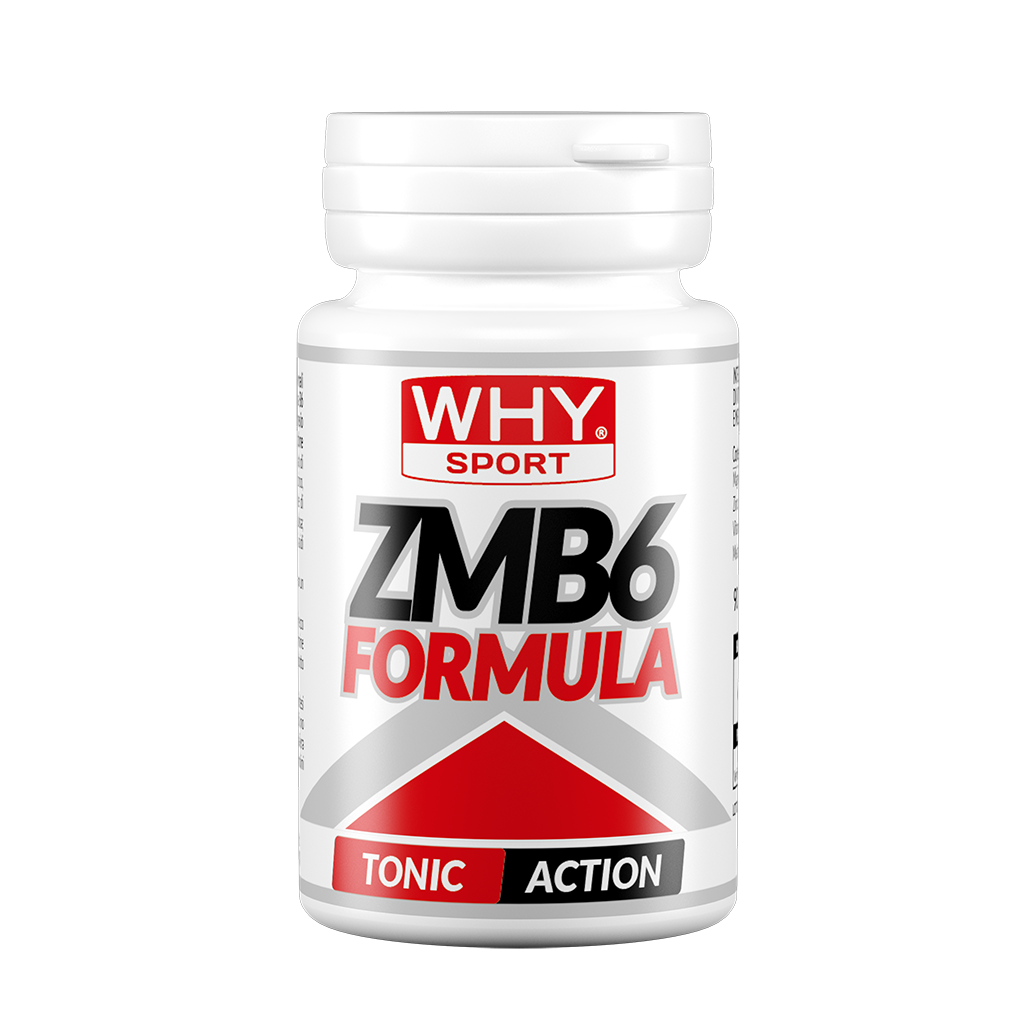 ZMB 6 FORMULA 90 cpr di WHY SPORT