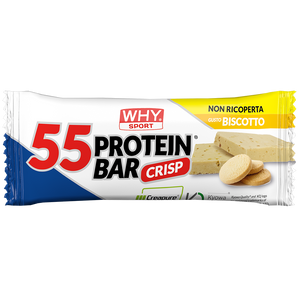 55 PROTEIN BAR di WHY SPORT