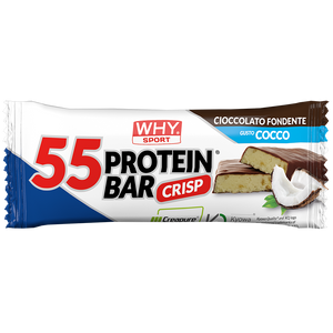 55 PROTEIN BAR di WHY SPORT