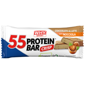 55 PROTEIN BAR di WHY SPORT