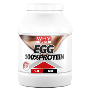 EGG 100% PROTEIN 750 g cioccolato di WHY SPORT