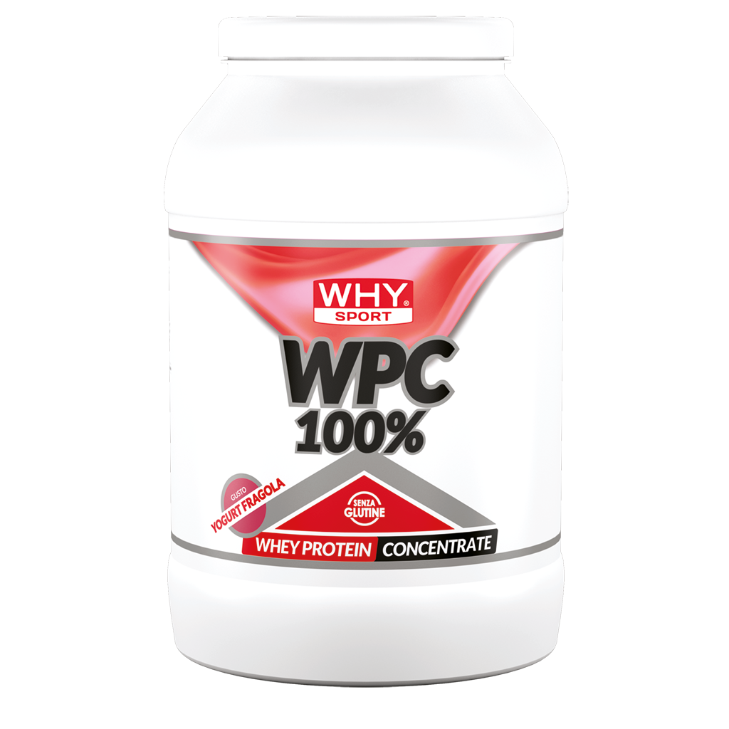 WPC 100% WHEY 2 KG