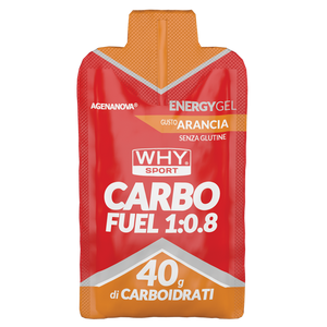 CARBO FUEL 1:0.8 60 ml di WHY SPORT