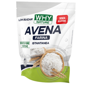 FARINA DI AVENA SENZA GLUTINE 1 Kg di WHY NATURE