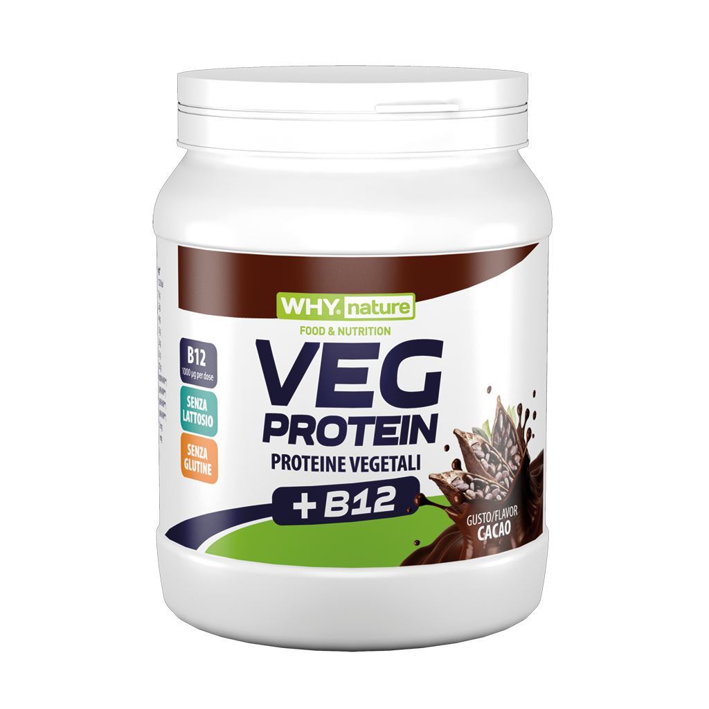 VEG PROTEIN 450g di WHY NATURE