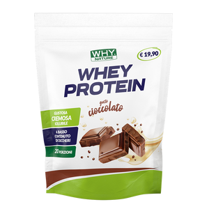 WHEY PROTEIN di WHY NATURE