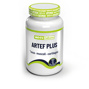 ARTEF PLUS 60 cpr di WHY NATURE