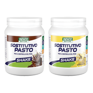 SOSTITUTIVO PASTO SHAKE di WHY NATURE