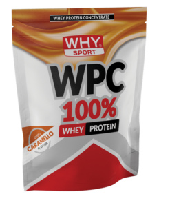 WPC 100% WHEY WHY SPORT - IRONSTORENUTRITION