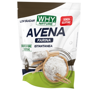 FARINA DI AVENA SENZA GLUTINE 1 Kg di WHY NATURE