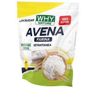 FARINA DI AVENA SENZA GLUTINE 1 Kg di WHY NATURE